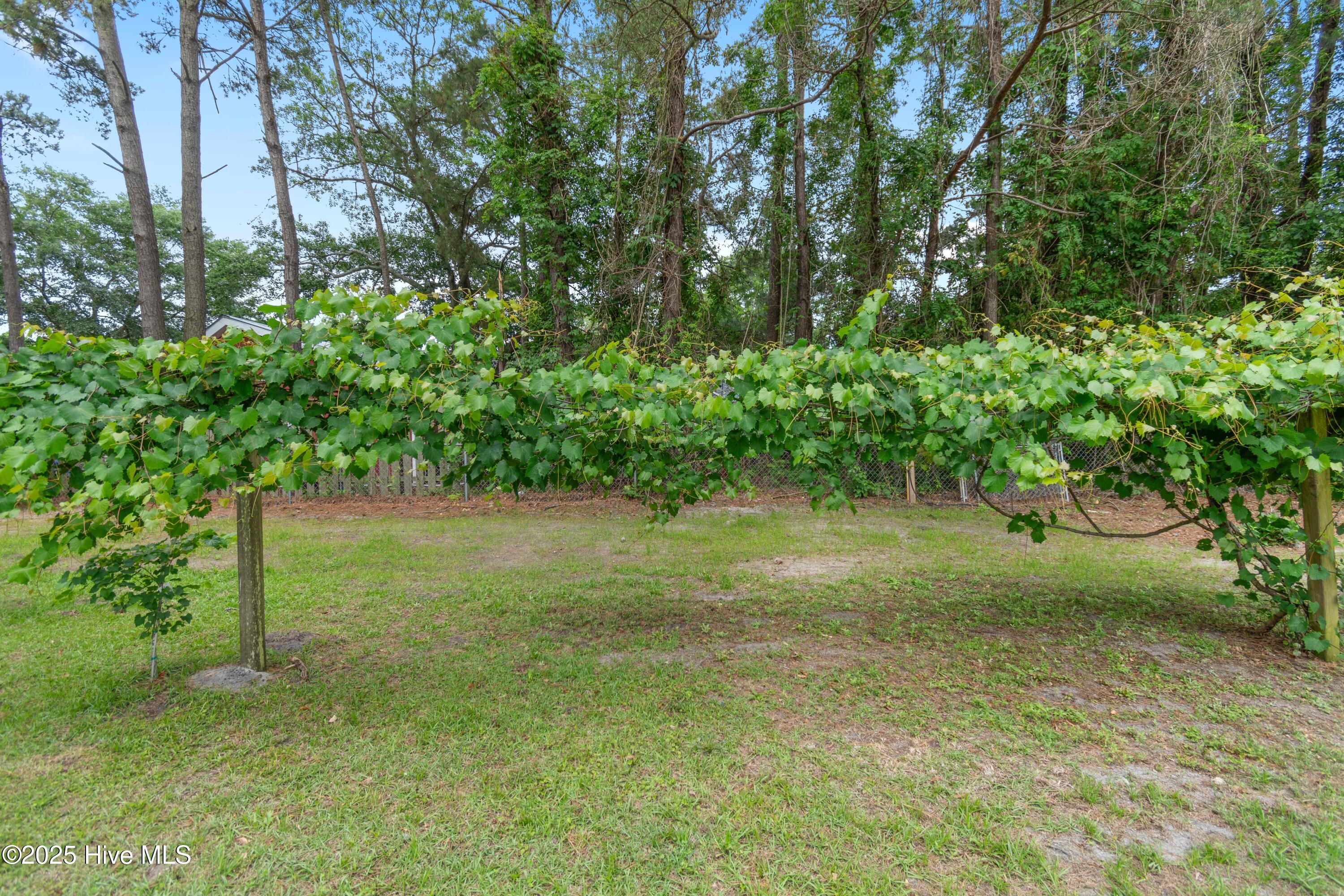 827 Village Point Road Southwest Shallotte, NC 28470 - Photo 44 of 52 827VillagePointRd - 54