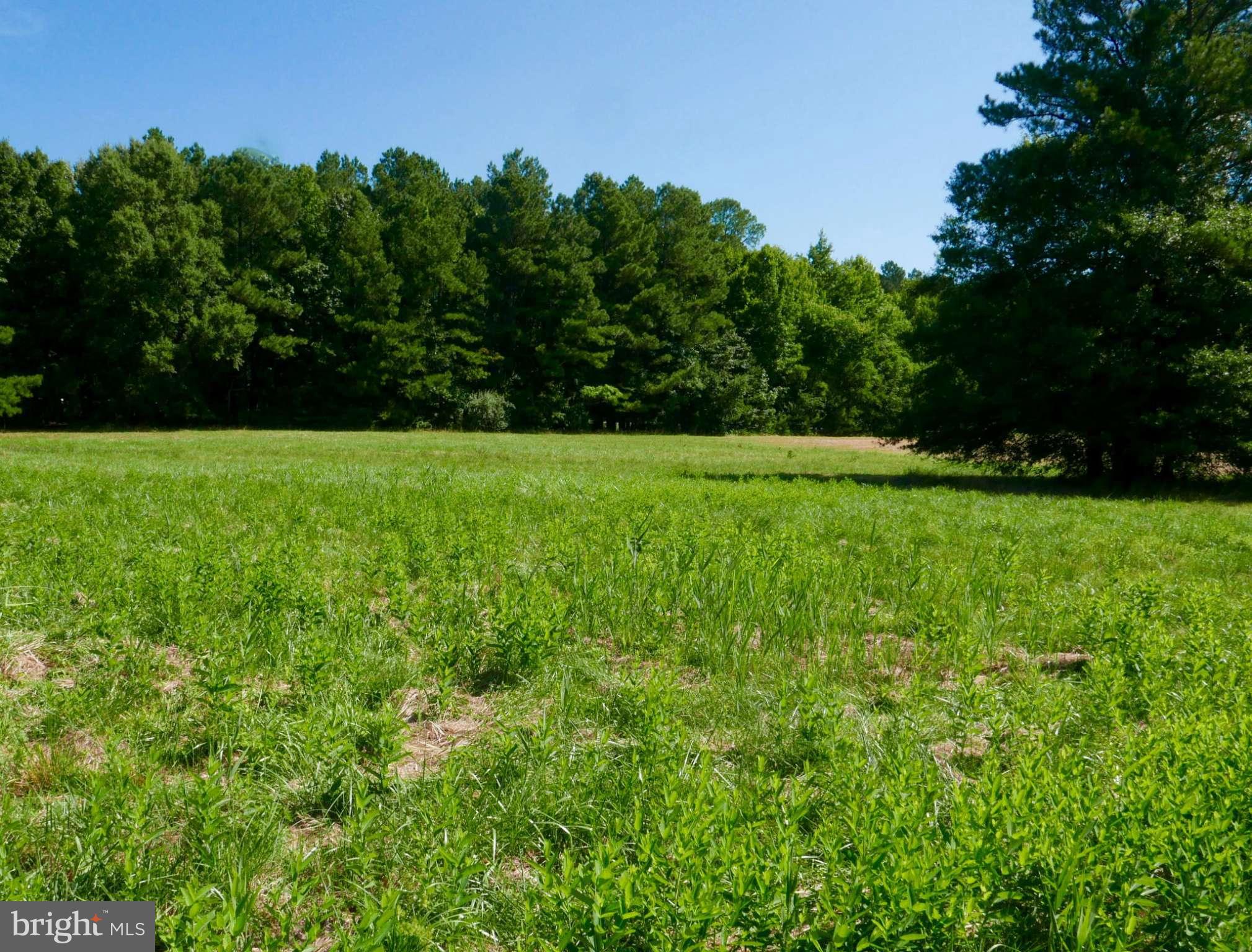 Boh Brooks Road Trappe, MD 21673 - Photo 1 of 6 View