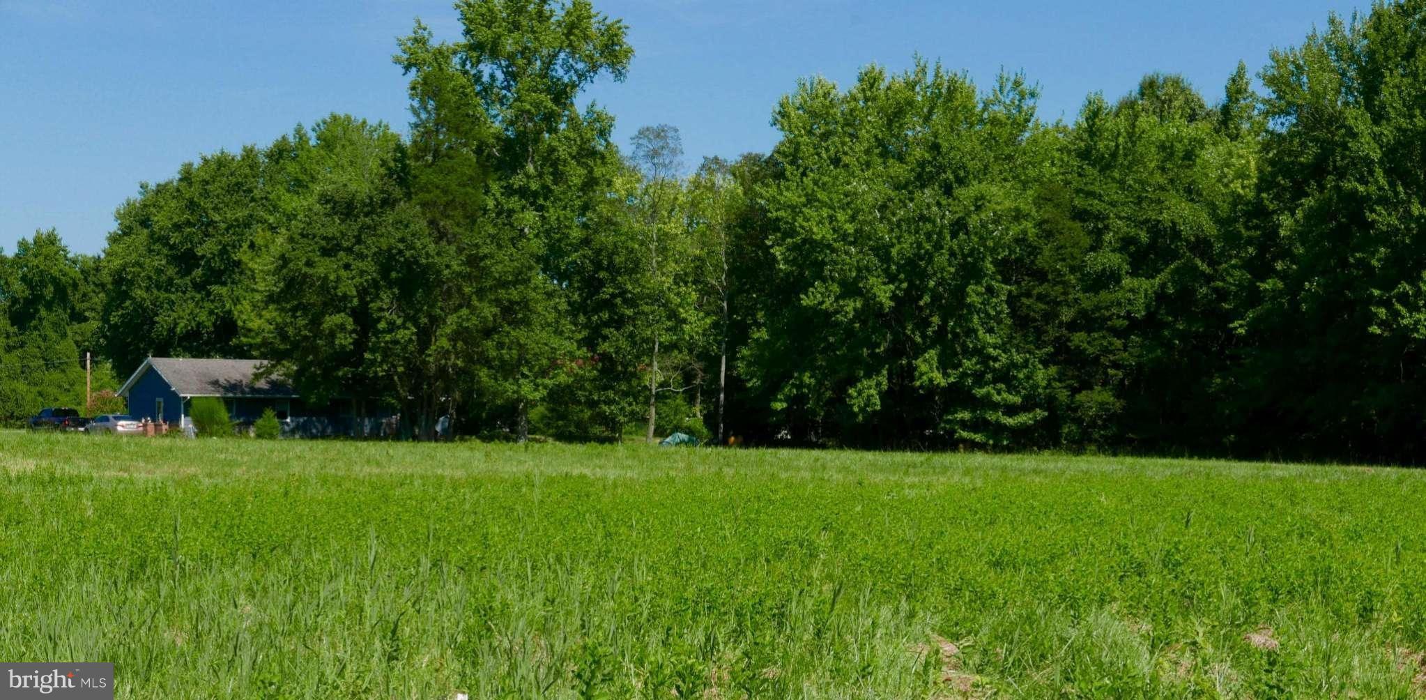 Boh Brooks Road Trappe, MD 21673 - Photo 3 of 6 View