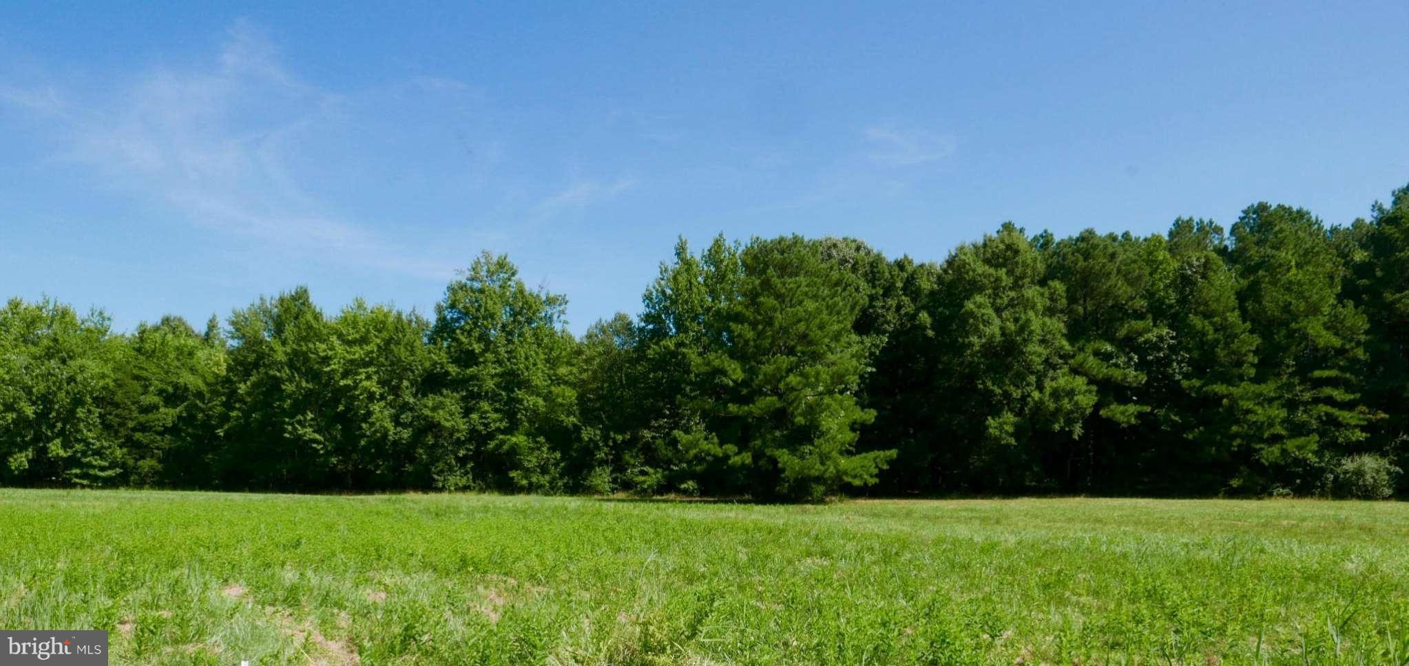 Boh Brooks Road Trappe, MD 21673 - Photo 4 of 6 View