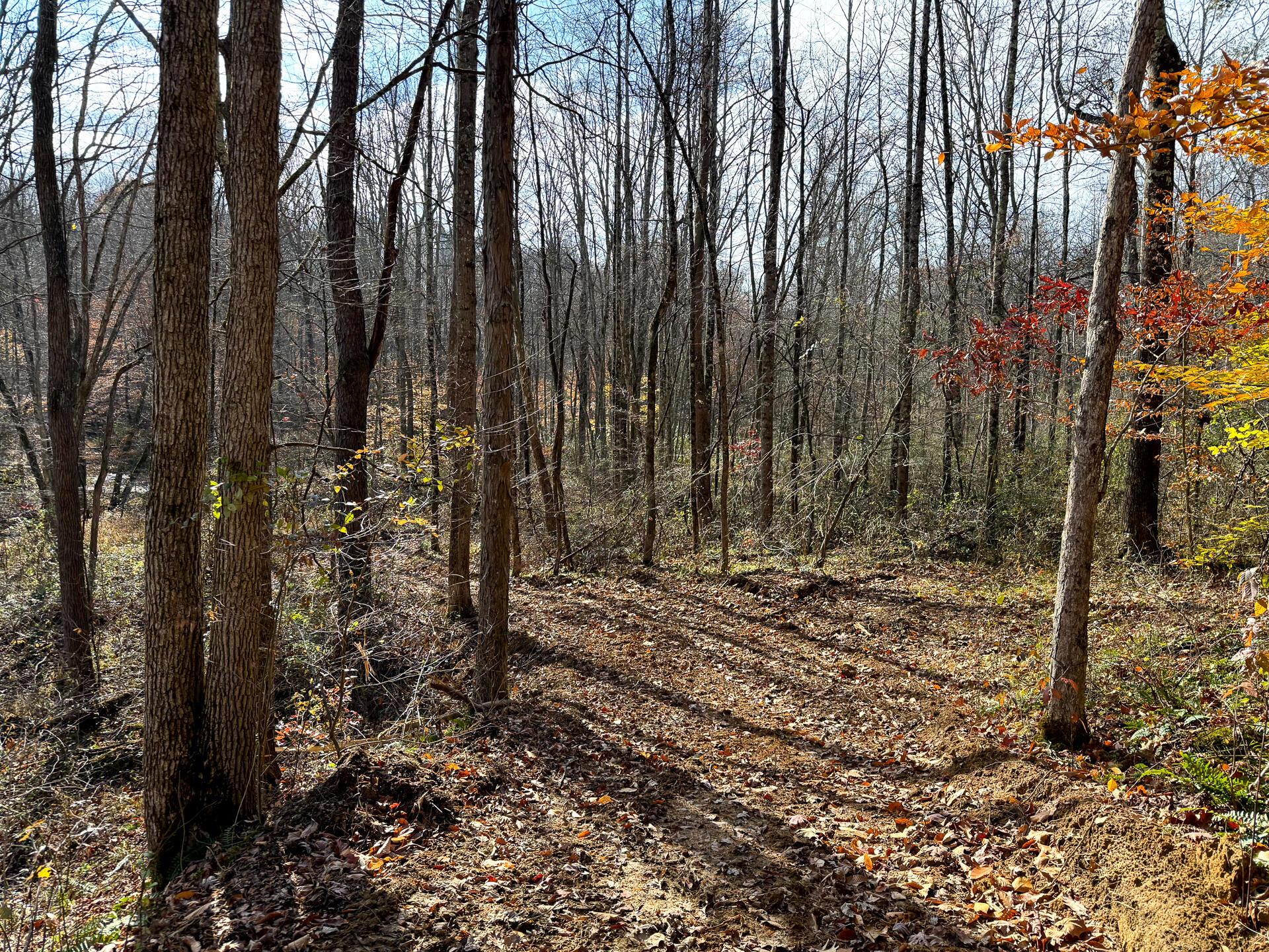 0 Dutch Ridge Road Southeast, Unit WOODS TURKEY RUN TRACT 4) New Lexington, OH 43764 - Photo 50 of 58 CT-50