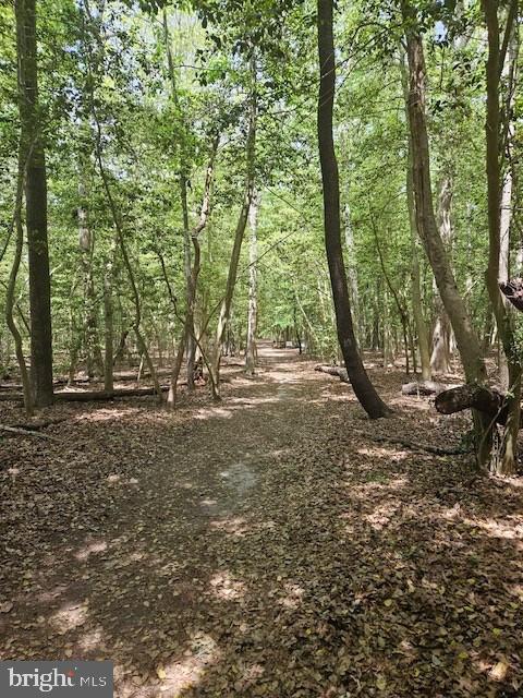 38340 Squirrel Road, Unit 14787 Ocean View, DE 19970 - Photo 38 of 40 Gallery Image 38