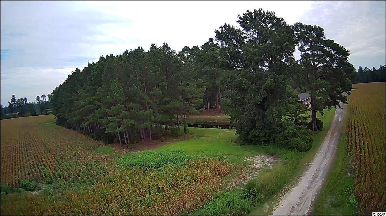 22.9-ac 22.9-ac New Warehouse Road Hemingway, SC 29554 - Photo 1 of 5