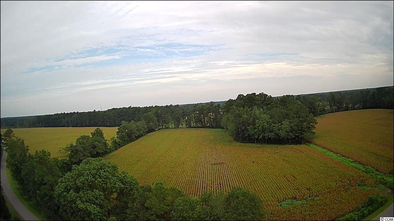22.9-ac 22.9-ac New Warehouse Road Hemingway, SC 29554 - Photo 2 of 5