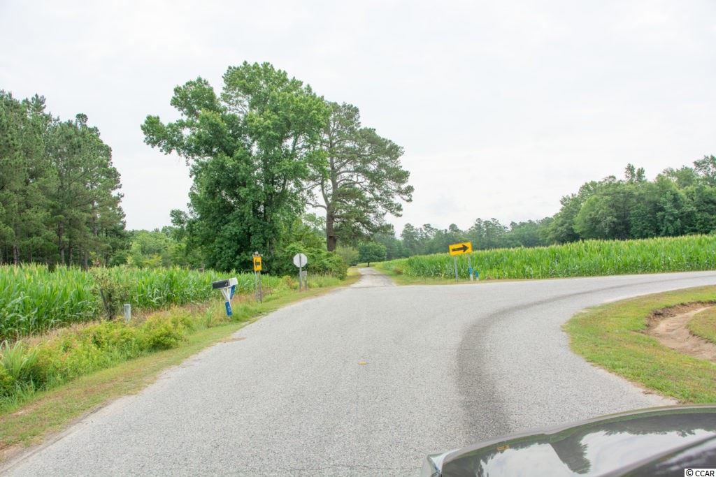 22.9-ac 22.9-ac New Warehouse Road Hemingway, SC 29554 - Photo 3 of 5