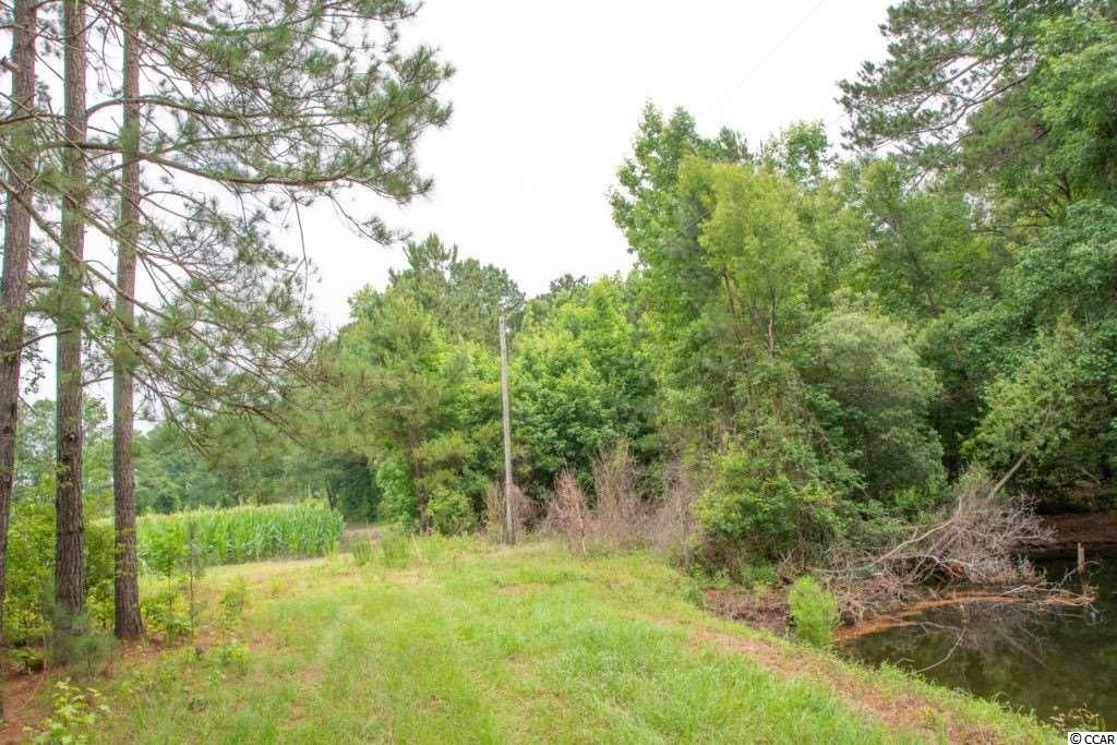 22.9-ac 22.9-ac New Warehouse Road Hemingway, SC 29554 - Photo 4 of 5