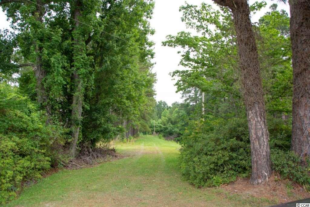 22.9-ac 22.9-ac New Warehouse Road Hemingway, SC 29554 - Photo 5 of 5