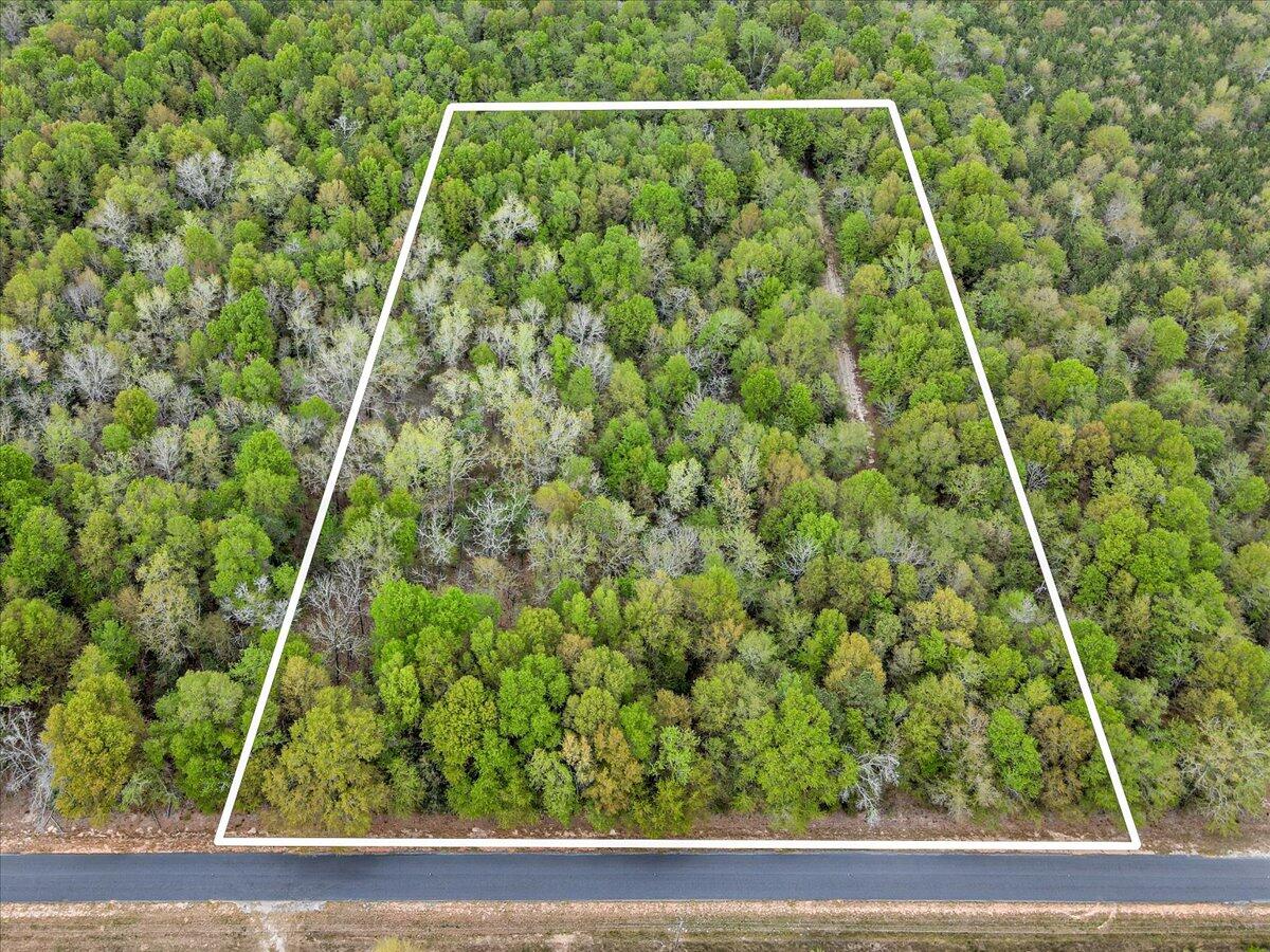 0 Millers Pond Road, Unit LOT 6 Salley, SC 29137 - Photo 2 of 12