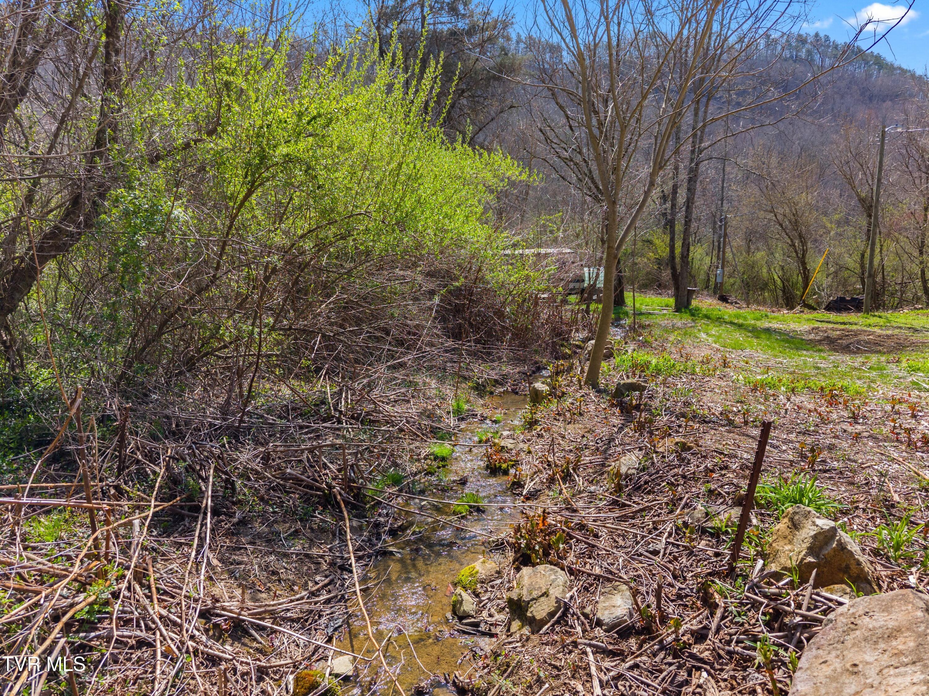 290 Cave Springs Road Rogersville, TN 37857 - Photo 13 of 16 012-290CaveSpringsRoad-Rogersville-TN-37