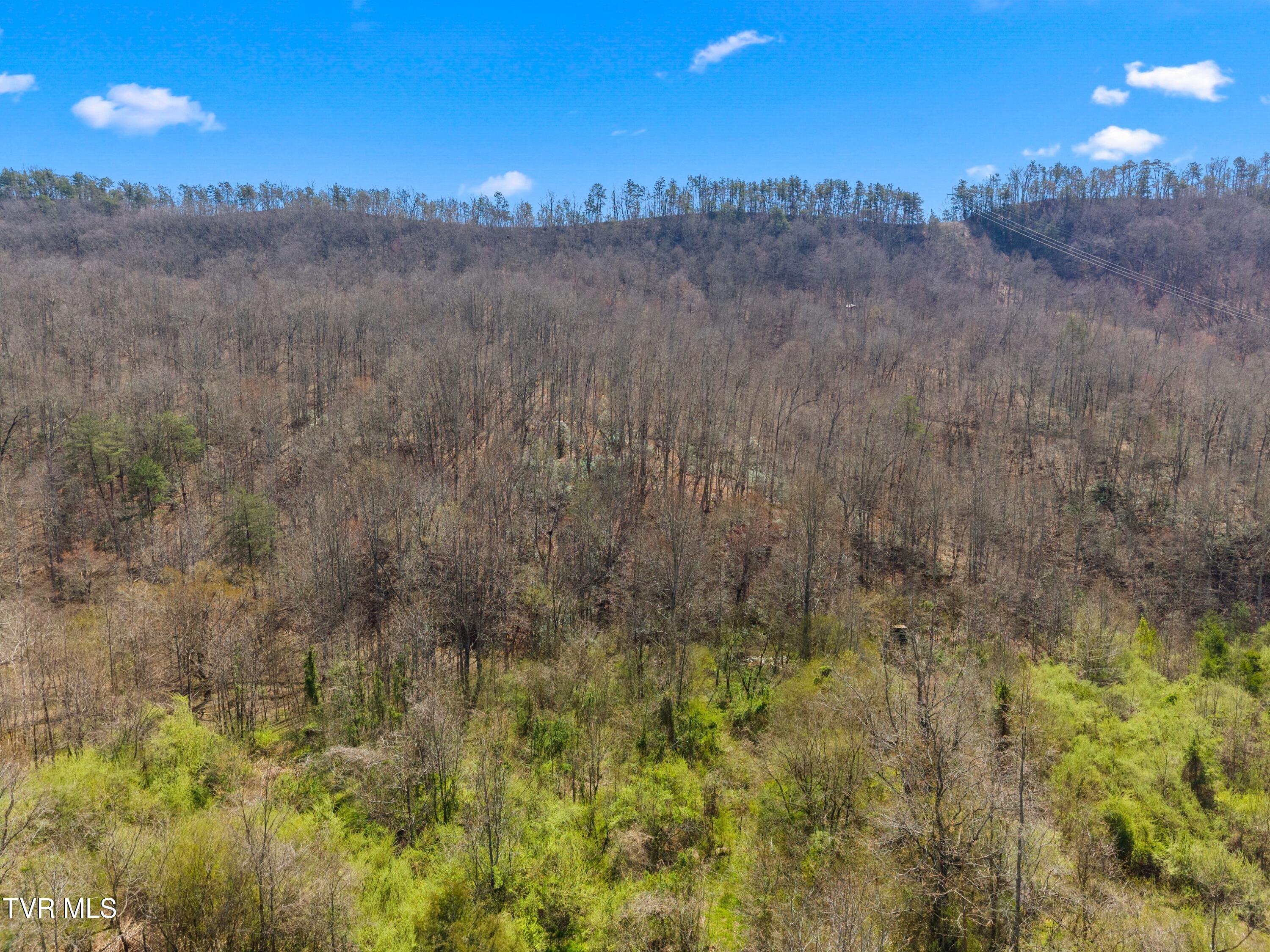 290 Cave Springs Road Rogersville, TN 37857 - Photo 14 of 16 014-290CaveSpringsRoad-Rogersville-TN-37