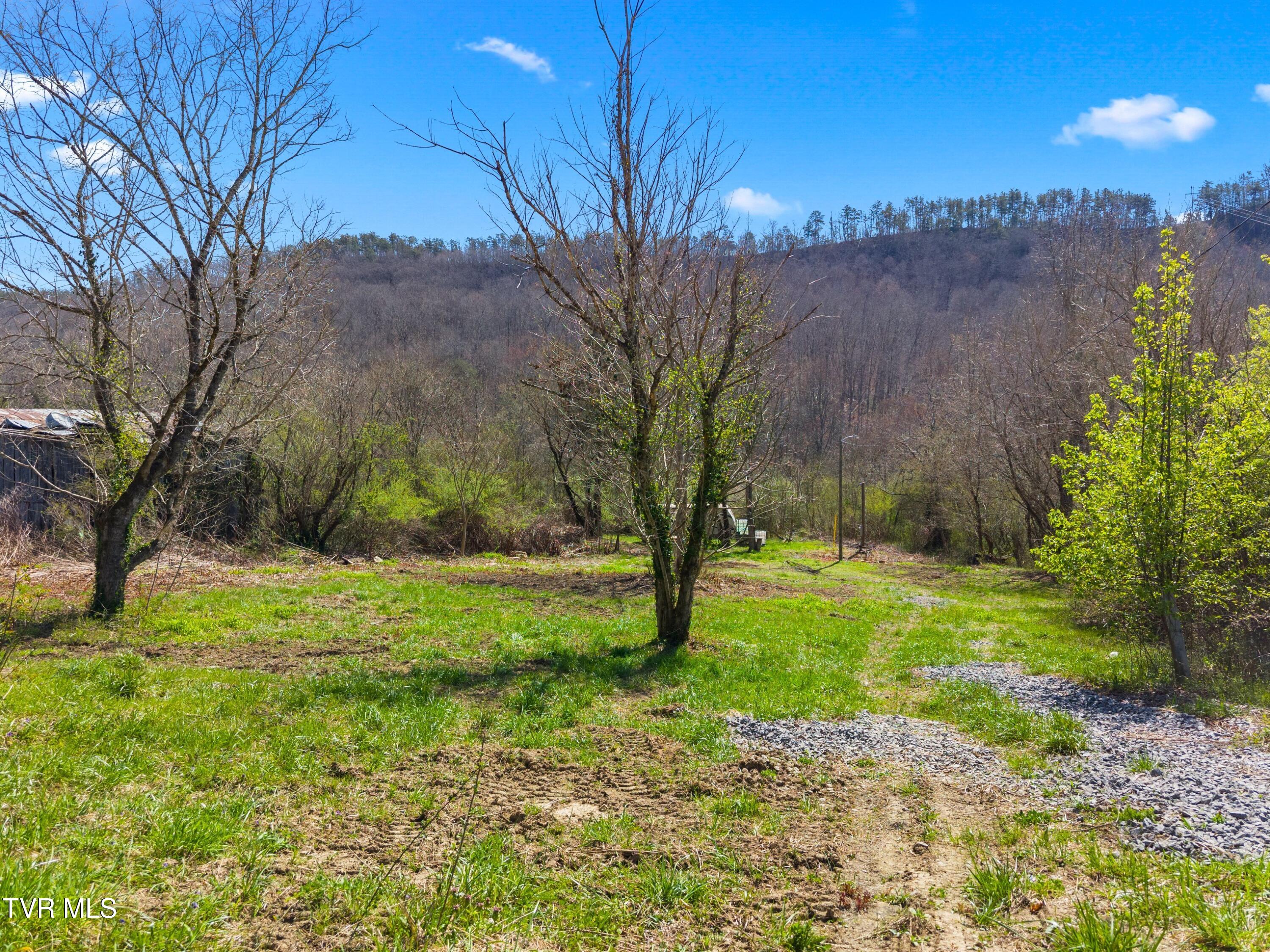 290 Cave Springs Road Rogersville, TN 37857 - Photo 9 of 16 004-290CaveSpringsRoad-Rogersville-TN-37