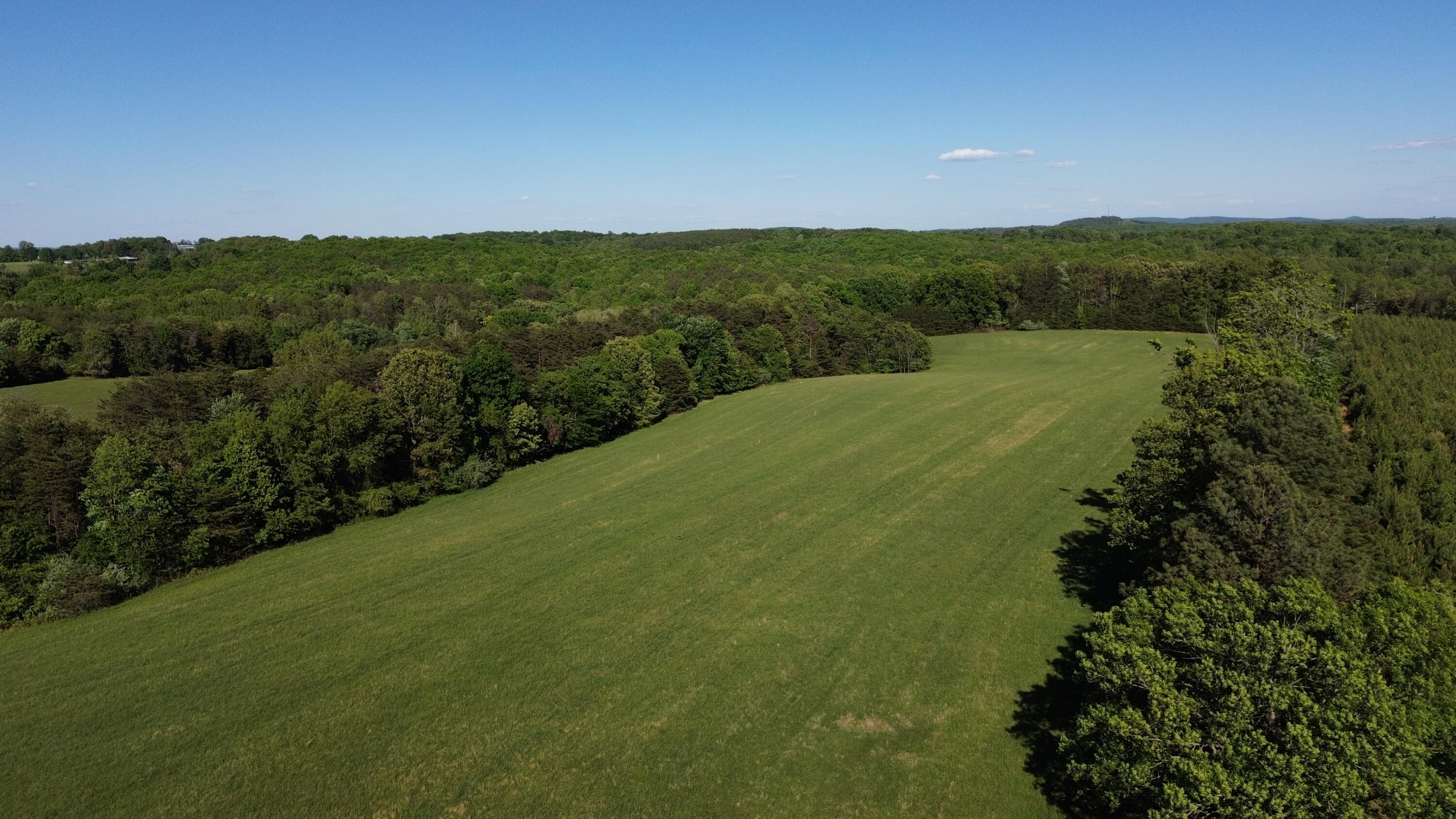 2556 Rock Cliff Road Bedford, VA 24523 - Photo 15 of 35 a view of a green field with lots of bushes