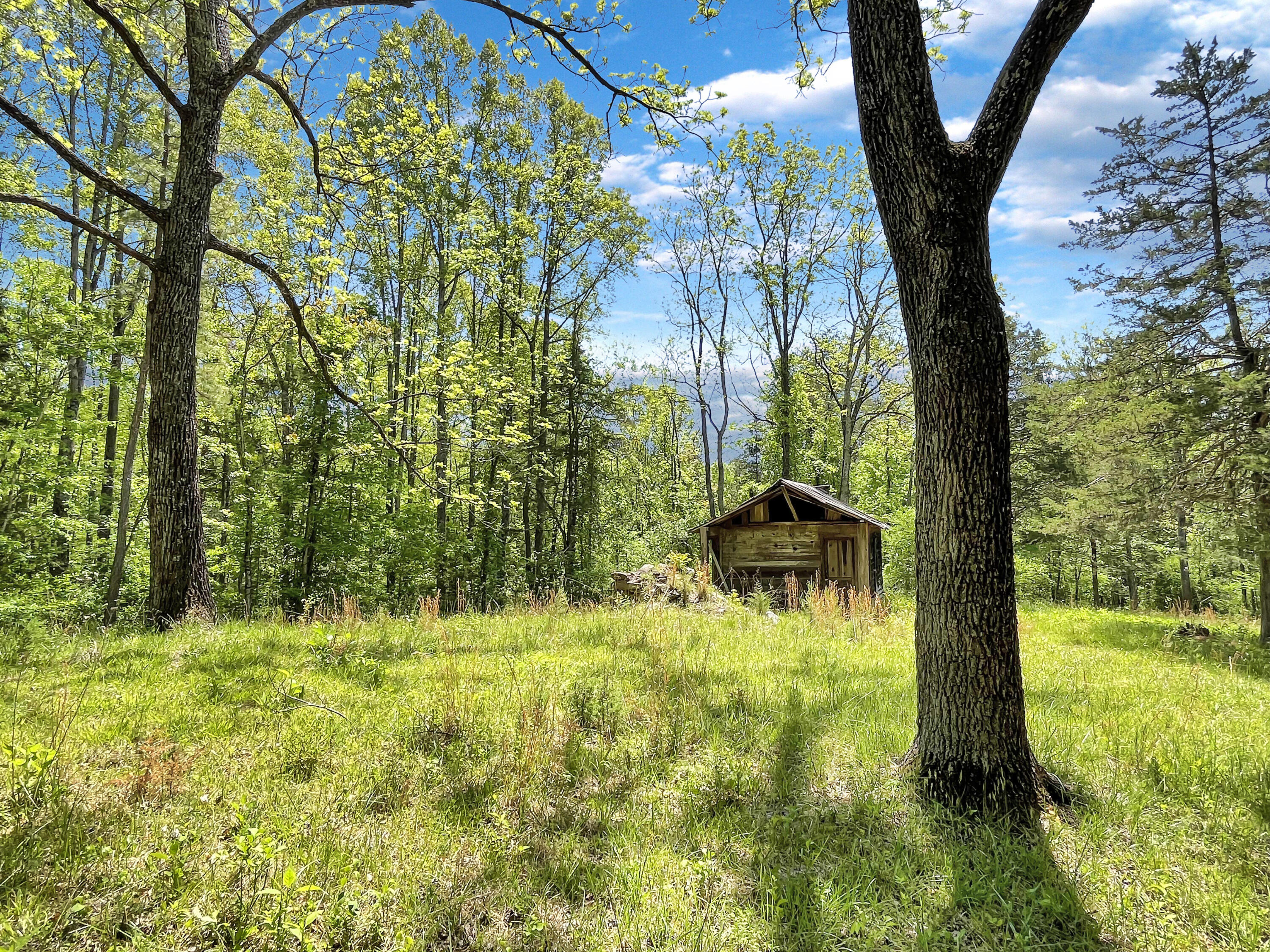 2556 Rock Cliff Road Bedford, VA 24523 - Photo 26 of 35 a backyard of a house with lots of green space and fountain