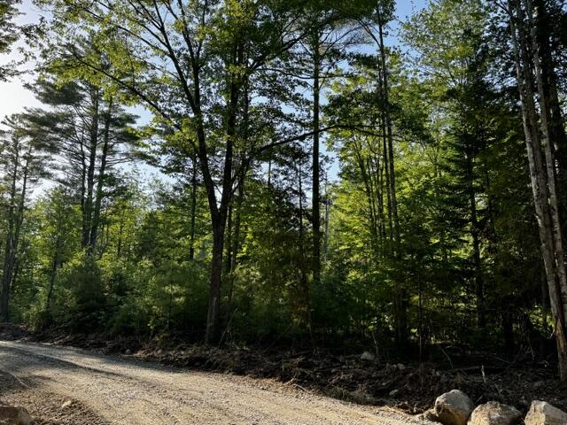 Lot 1 Skogen Ridge Drive Belgrade, ME 04917 - Photo 10 of 13 IMG_5442