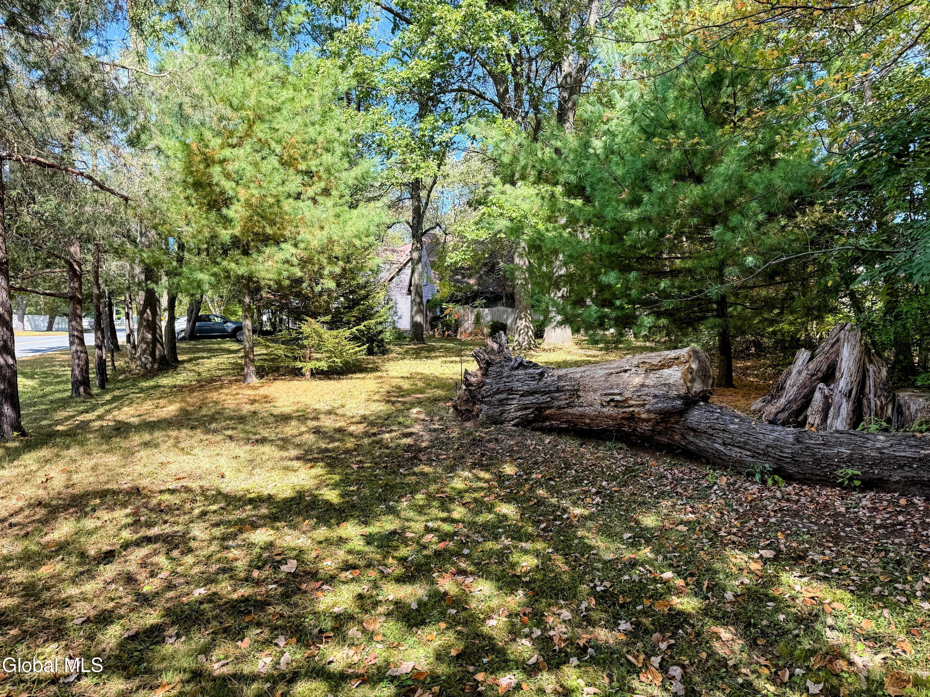 195 Vly Road Schenectady, NY 12309 - Photo 56 of 60 IMG_0299-EDIT