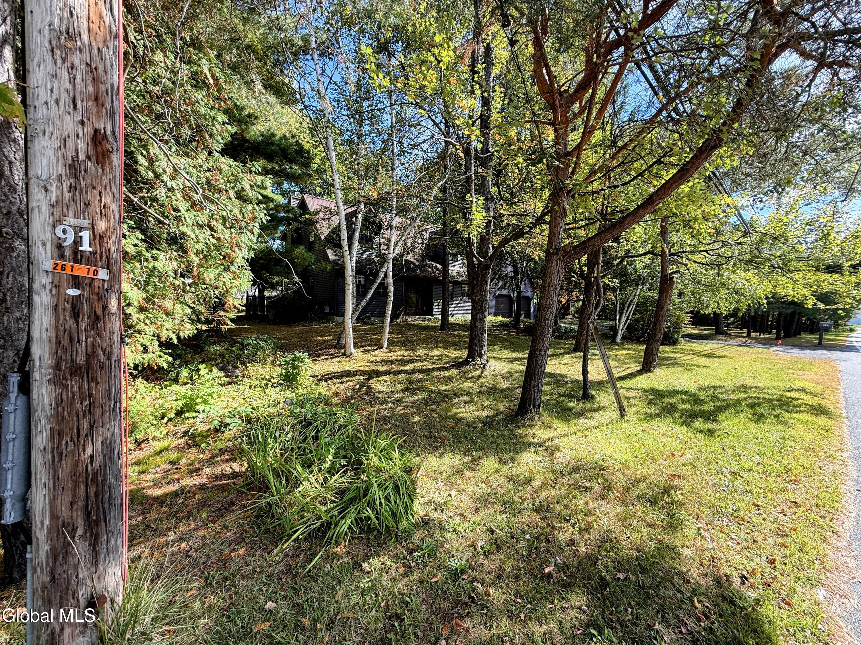 195 Vly Road Schenectady, NY 12309 - Photo 60 of 60 IMG_0302-EDIT