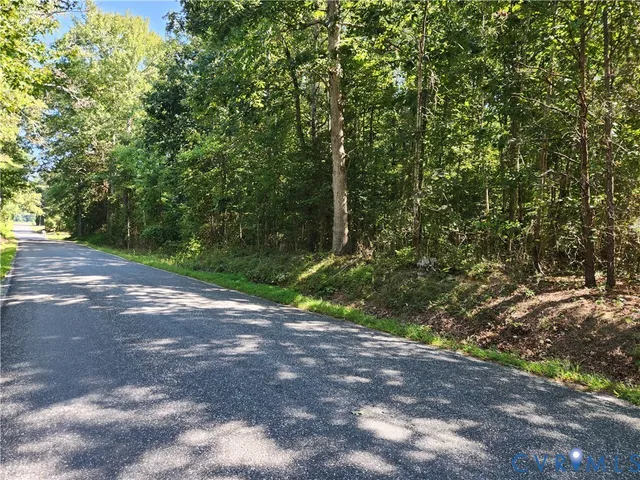 a view of a yard with plants and trees