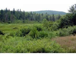 On Old Duck Pond Road Sheffield, VT 05866 - Photo 2 of 3