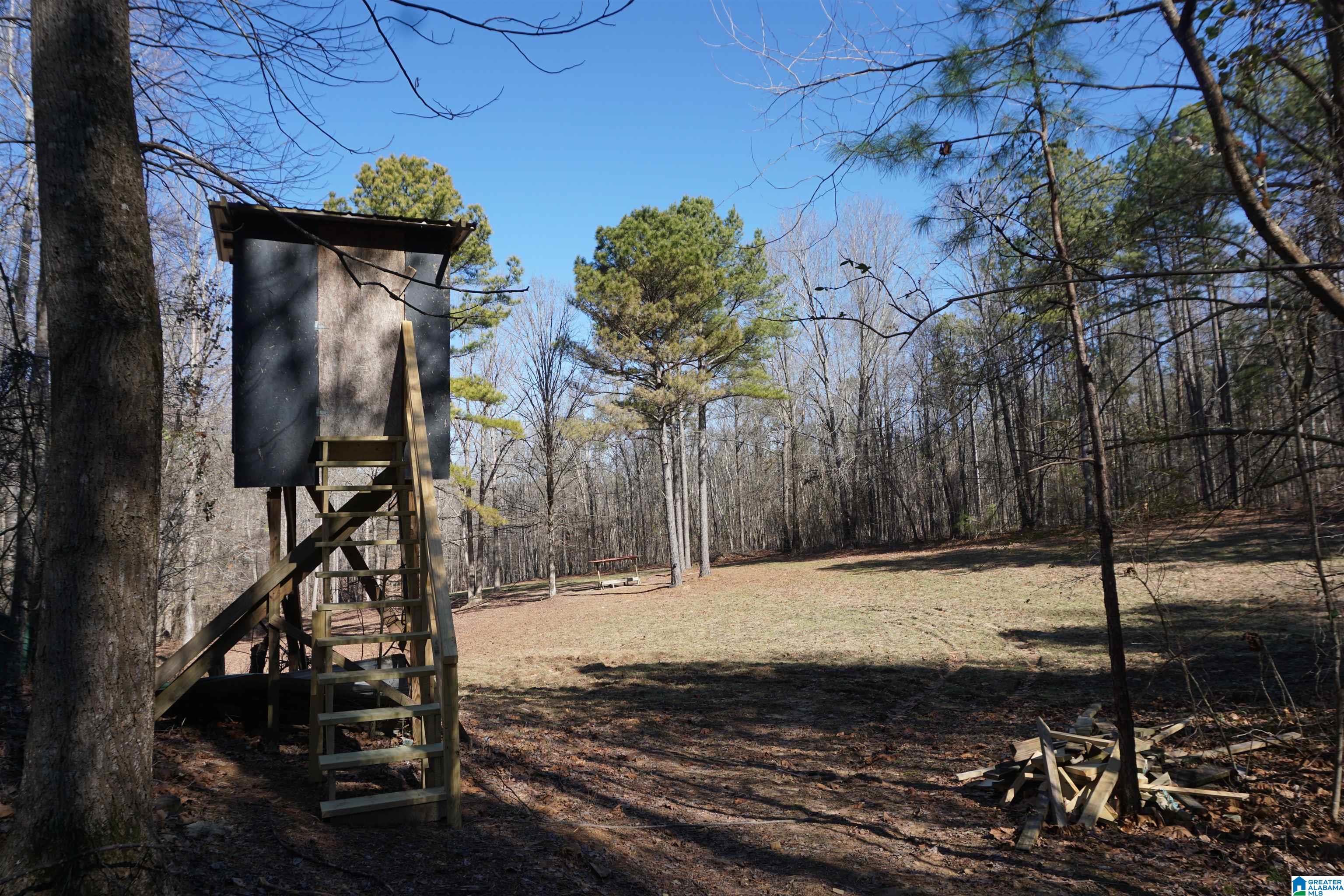 6171 Highway 102, Unit 1 Fayette, AL 35555 - Photo 46 of 68