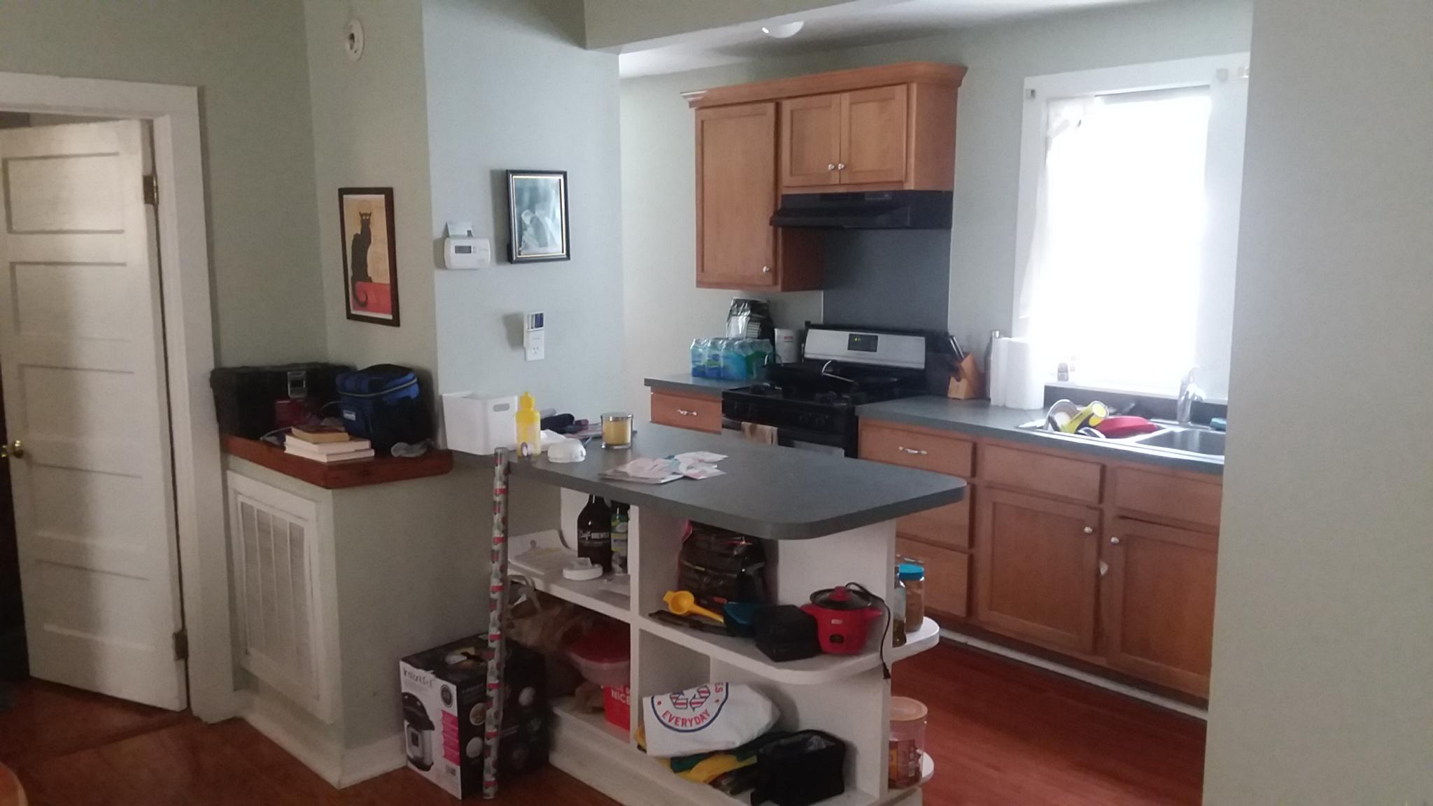 149 Spring Street Charleston, SC 29403 - Photo 27 of 43 A. Kitchen
