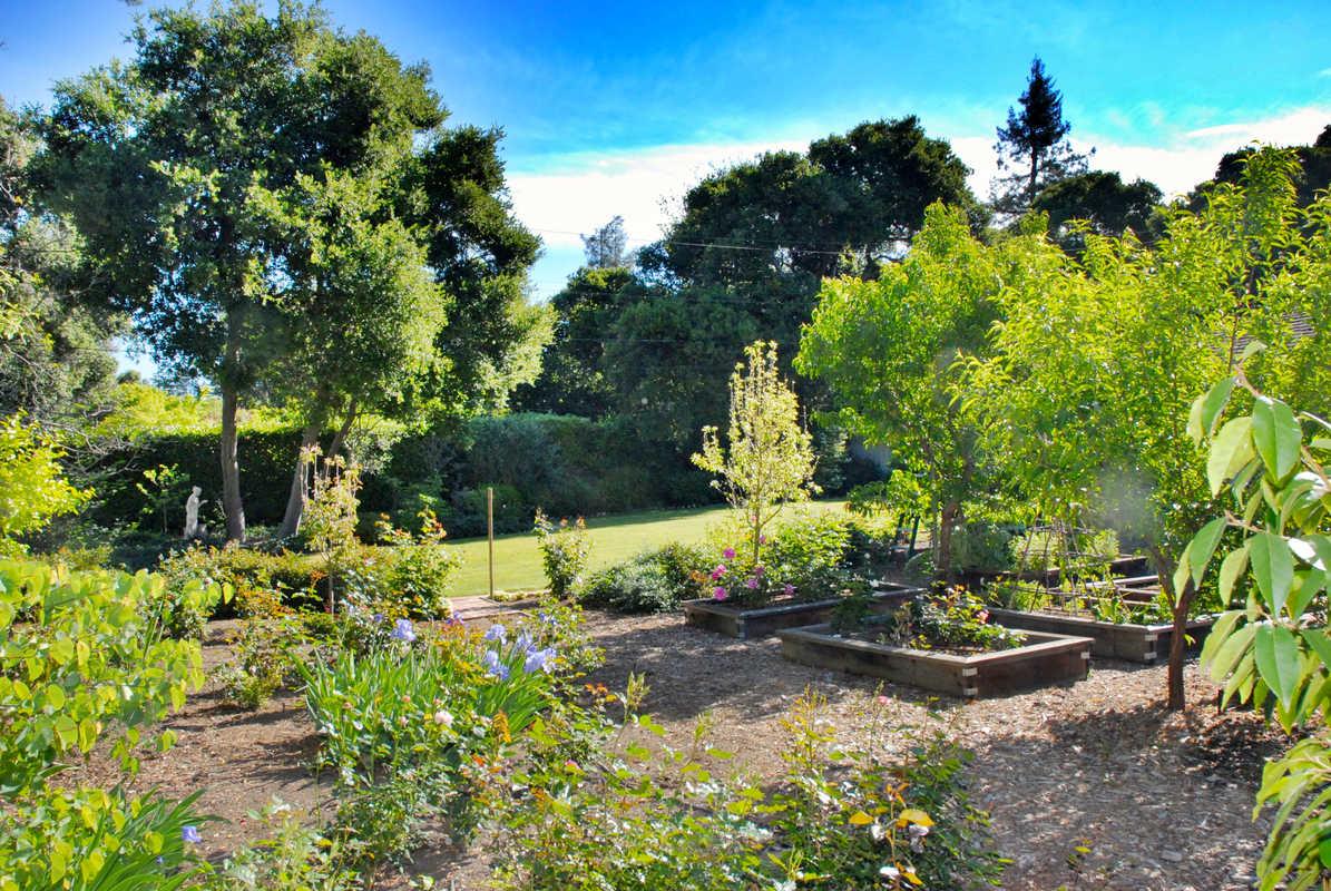 167 Toyon Road Atherton, CA 94027 - Photo 25 of 25 a view of a garden with large trees