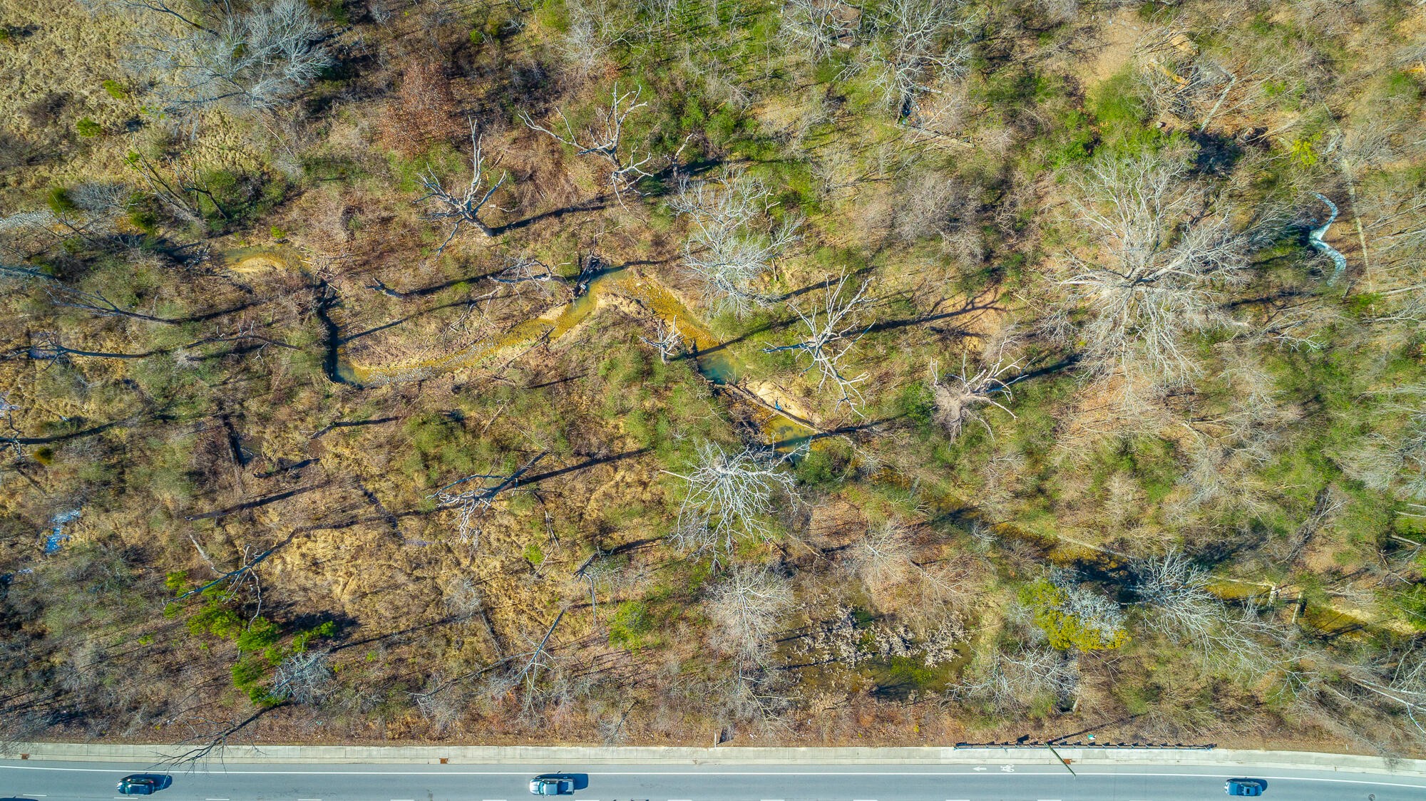 8931 East Brainerd Road Chattanooga, TN 37421 - Photo 96 of 100 Gallery Image 96