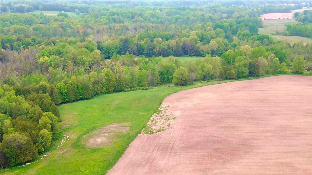 Tbd 7 Mile (86.47 Acres) Road Remus, MI 49340 - Photo 15 of 29
