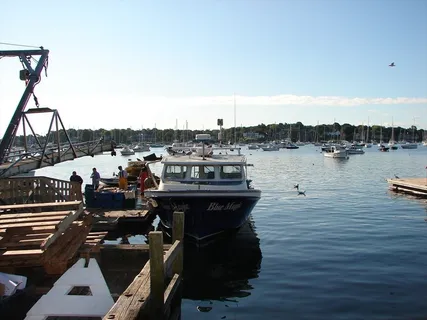 a view of an ocean with large trees