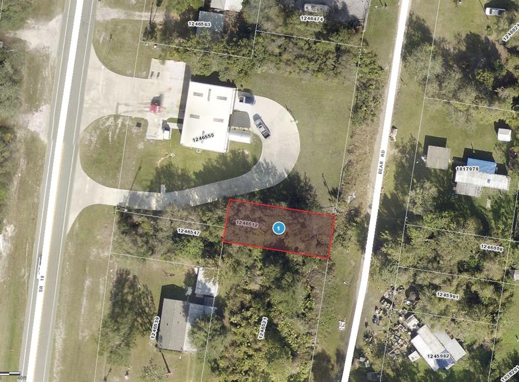 Bear Road Altoona, FL 32702 - Photo 1 of 1 Gallery Image 1