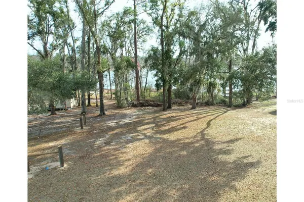 a view of outdoor space with trees