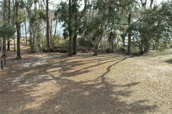 a view of a yard with large trees