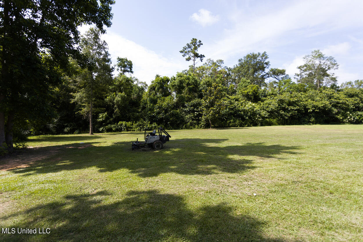 368 Anchor Lake Road Carriere, MS 39426 - Photo 18 of 21 4S8A5273