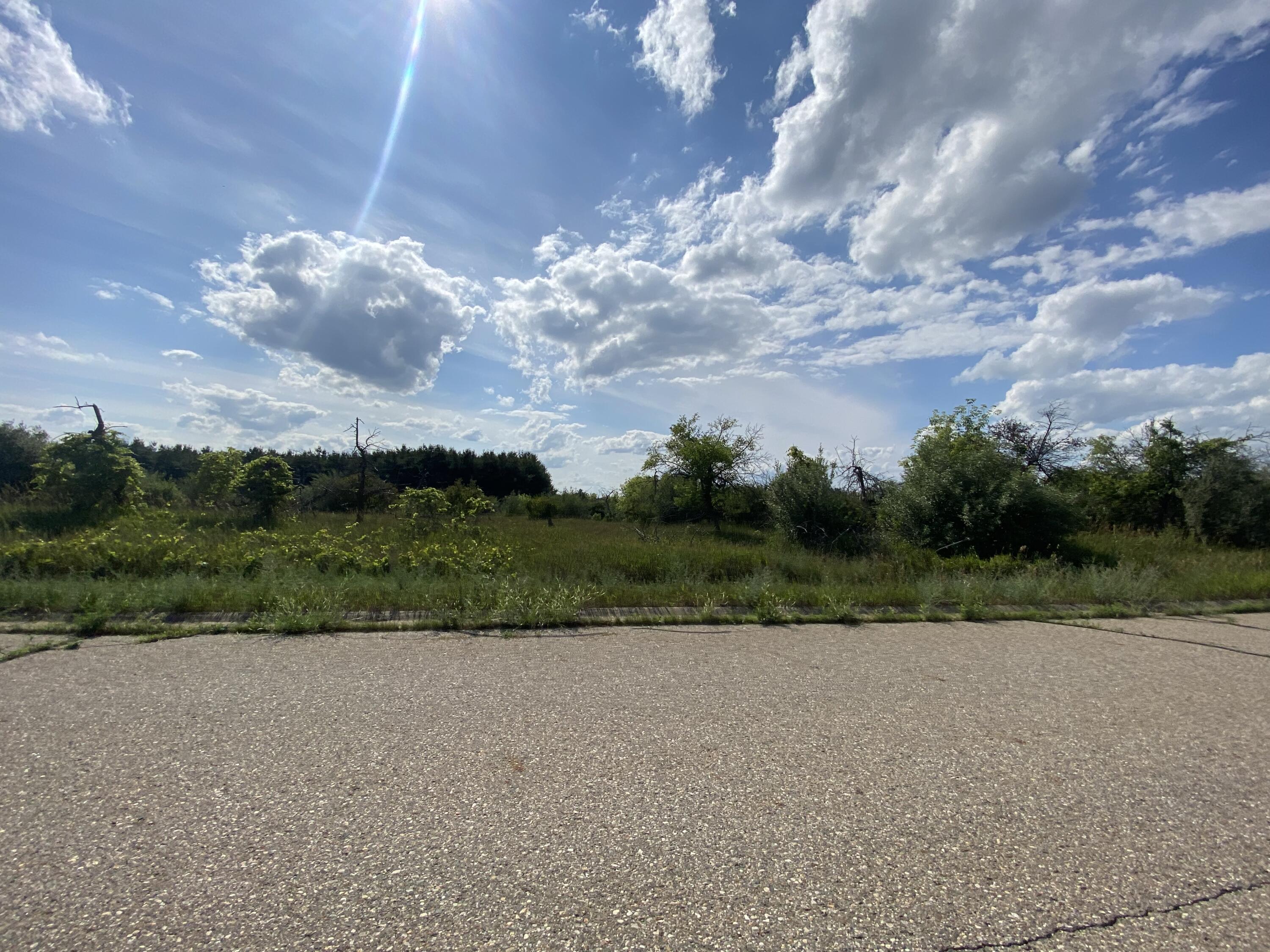 8095 McIntosh Road St. Johns, MI 48879 - Photo 5 of 5 IMG_1089