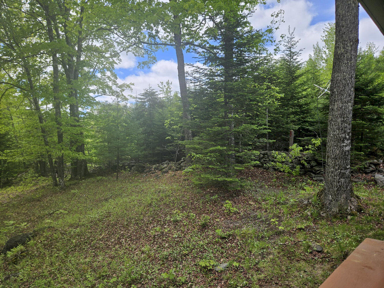 284 Frank Savage Road Bingham, ME 04920 - Photo 5 of 27 20260530_141526_result