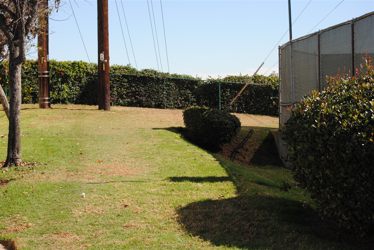 6343 Rancho Mission Road, Unit 2 San Diego, CA 92108 - Photo 18 of 24 Green belt for pet area.