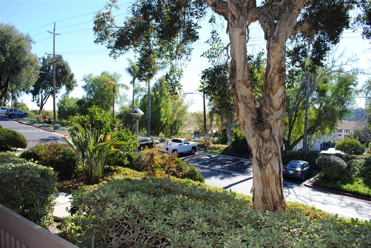 6343 Rancho Mission Road, Unit 2 San Diego, CA 92108 - Photo 7 of 24 View from patio off MBR looking at visitor parking.