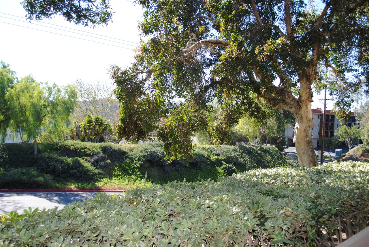 6343 Rancho Mission Road, Unit 2 San Diego, CA 92108 - Photo 8 of 24 From patio/living room.