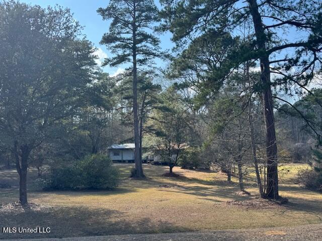 4231 Berwick Cassels Road Gloster, MS 39638 - Photo 17 of 28 IMG_0442