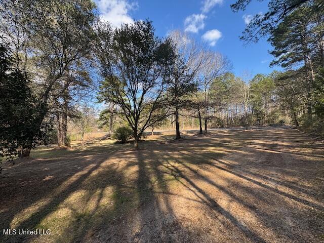 4231 Berwick Cassels Road Gloster, MS 39638 - Photo 28 of 28 IMG_0467