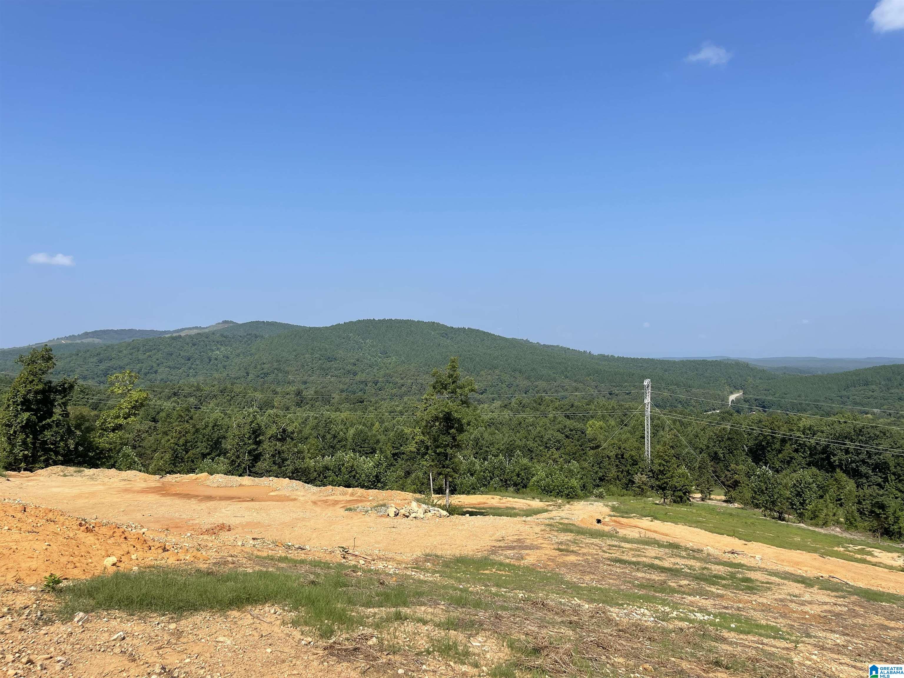 0 Benefield Gap Road Piedmont, AL 36272 - Photo 9 of 24