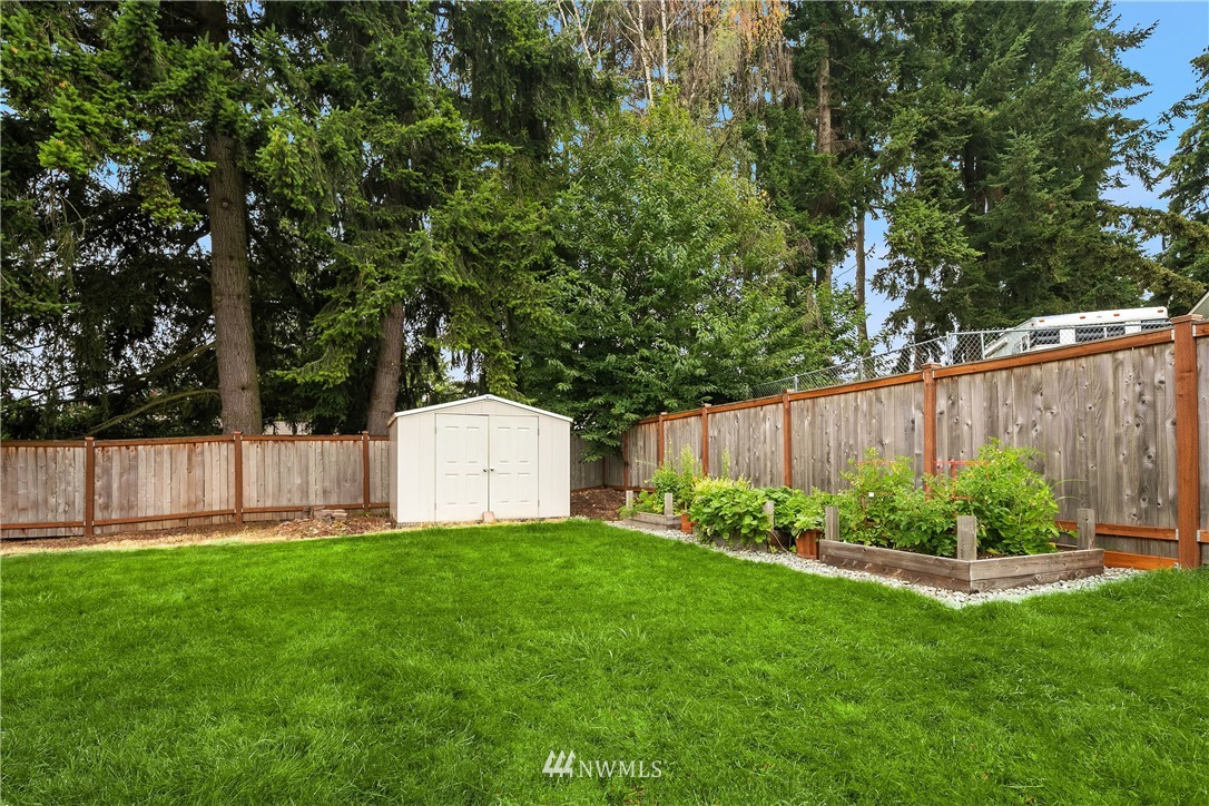 909 Graham Avenue Northeast Renton, WA 98059 - Photo 32 of 32 a garden with plants and wooden fence