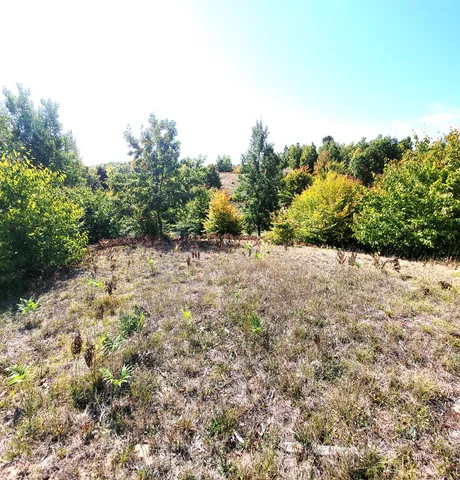 $41,000 | Eagle Ridge Circle, Onekama, MI 49675