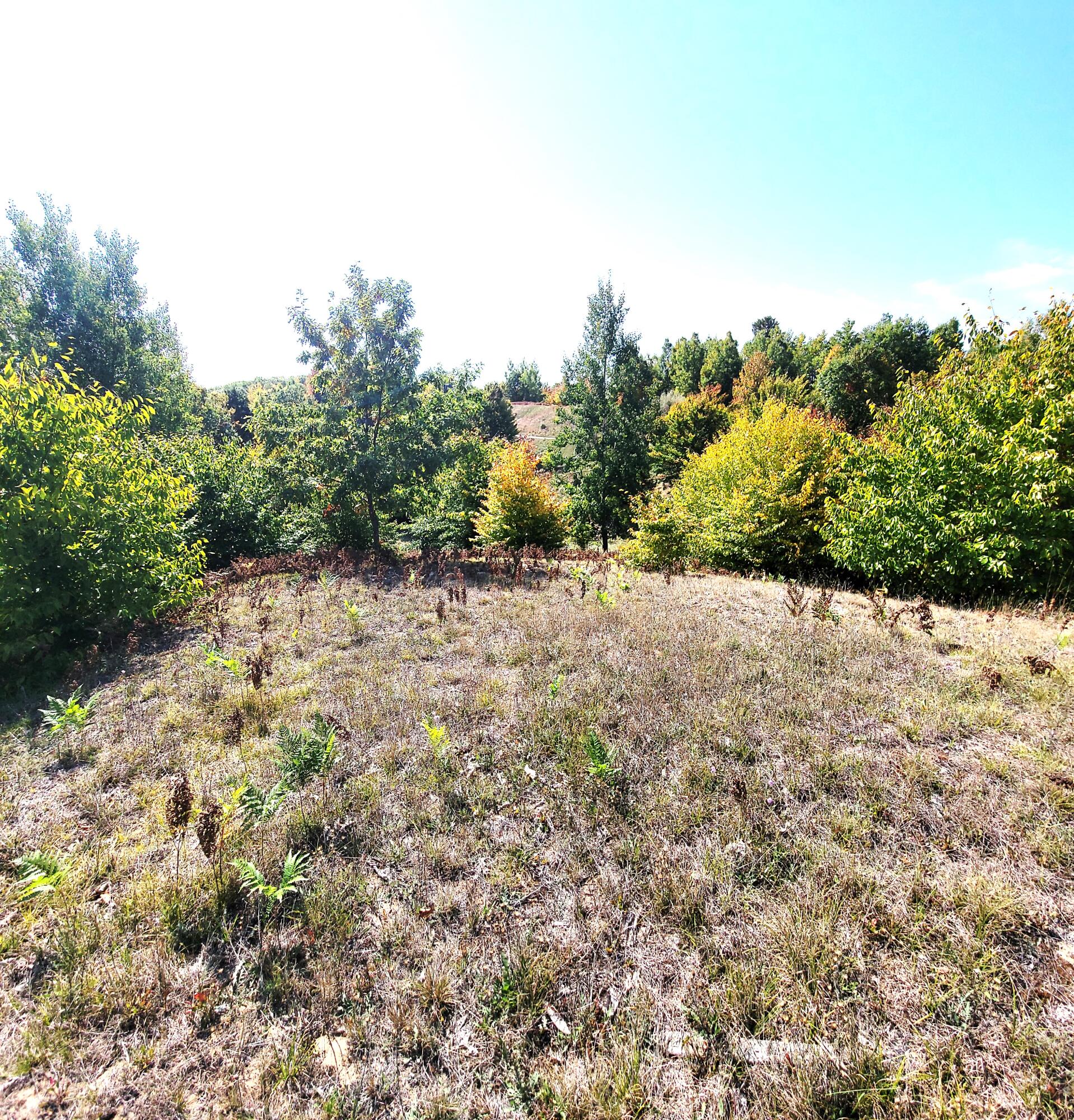 Eagle Ridge Circle Onekama, MI 49675 - Photo 3 of 27 View looking South