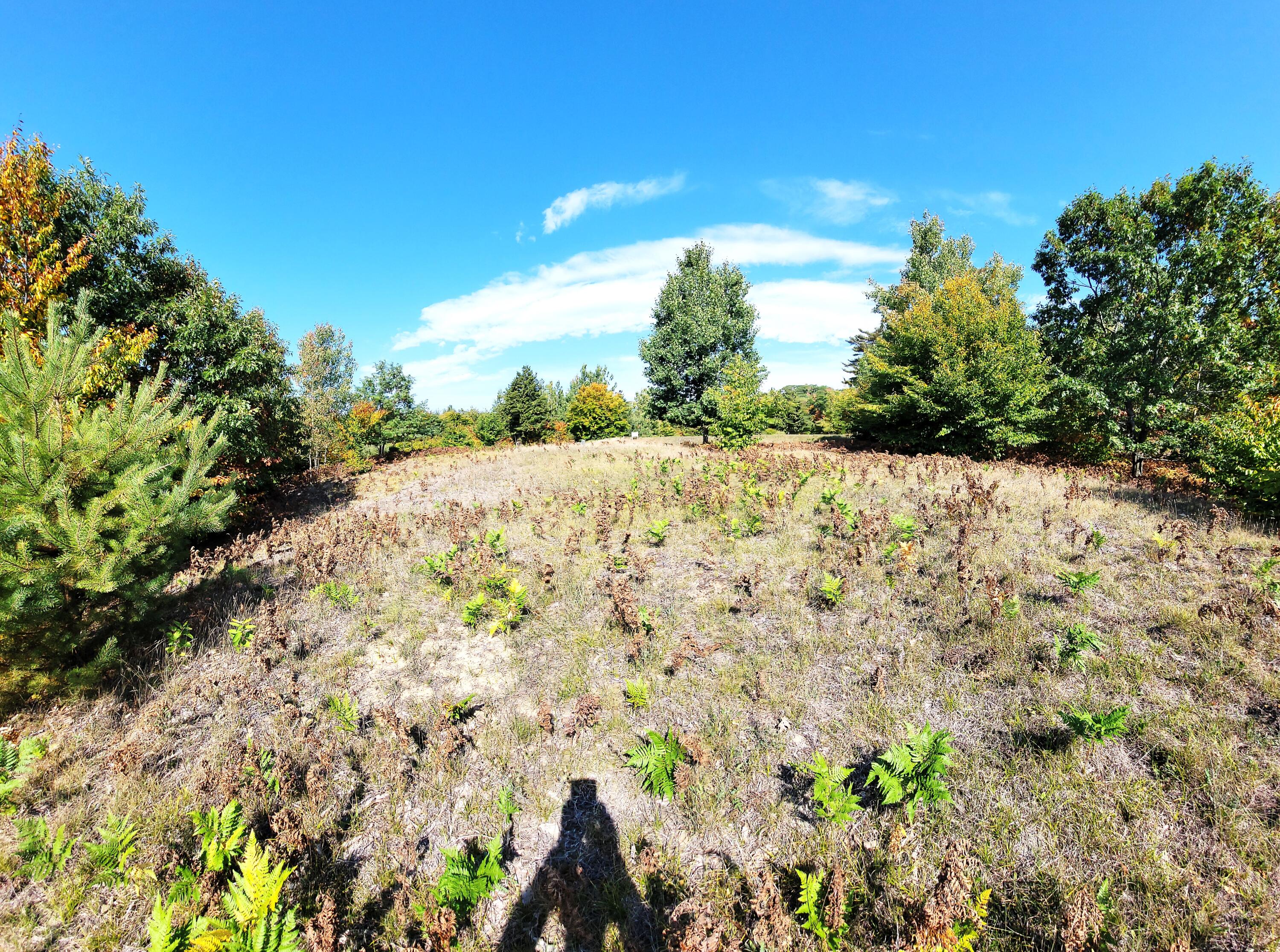 Eagle Ridge Circle Onekama, MI 49675 - Photo 4 of 27 View Looking North