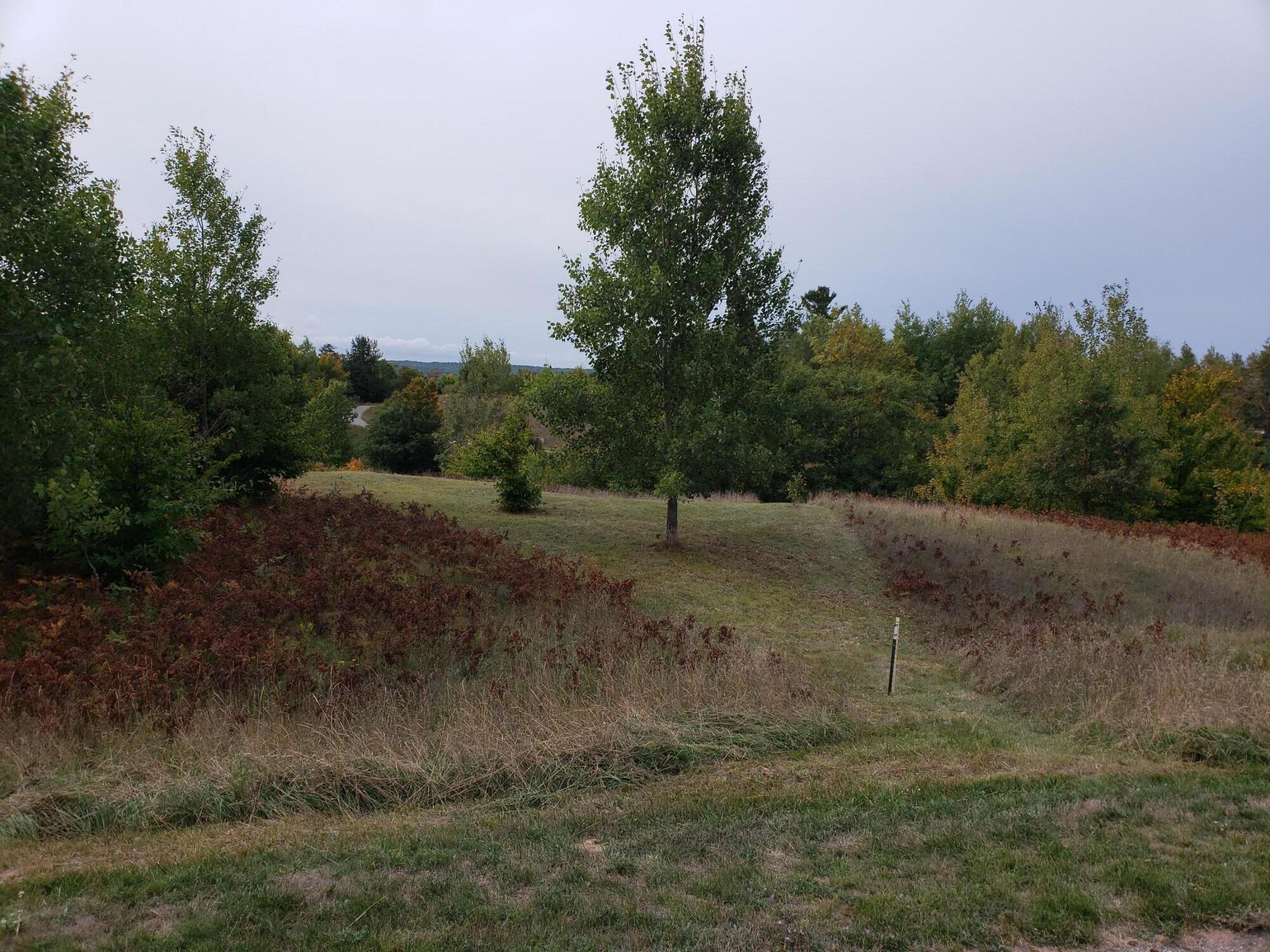 Eagle Ridge Circle Onekama, MI 49675 - Photo 5 of 27 Lot 102