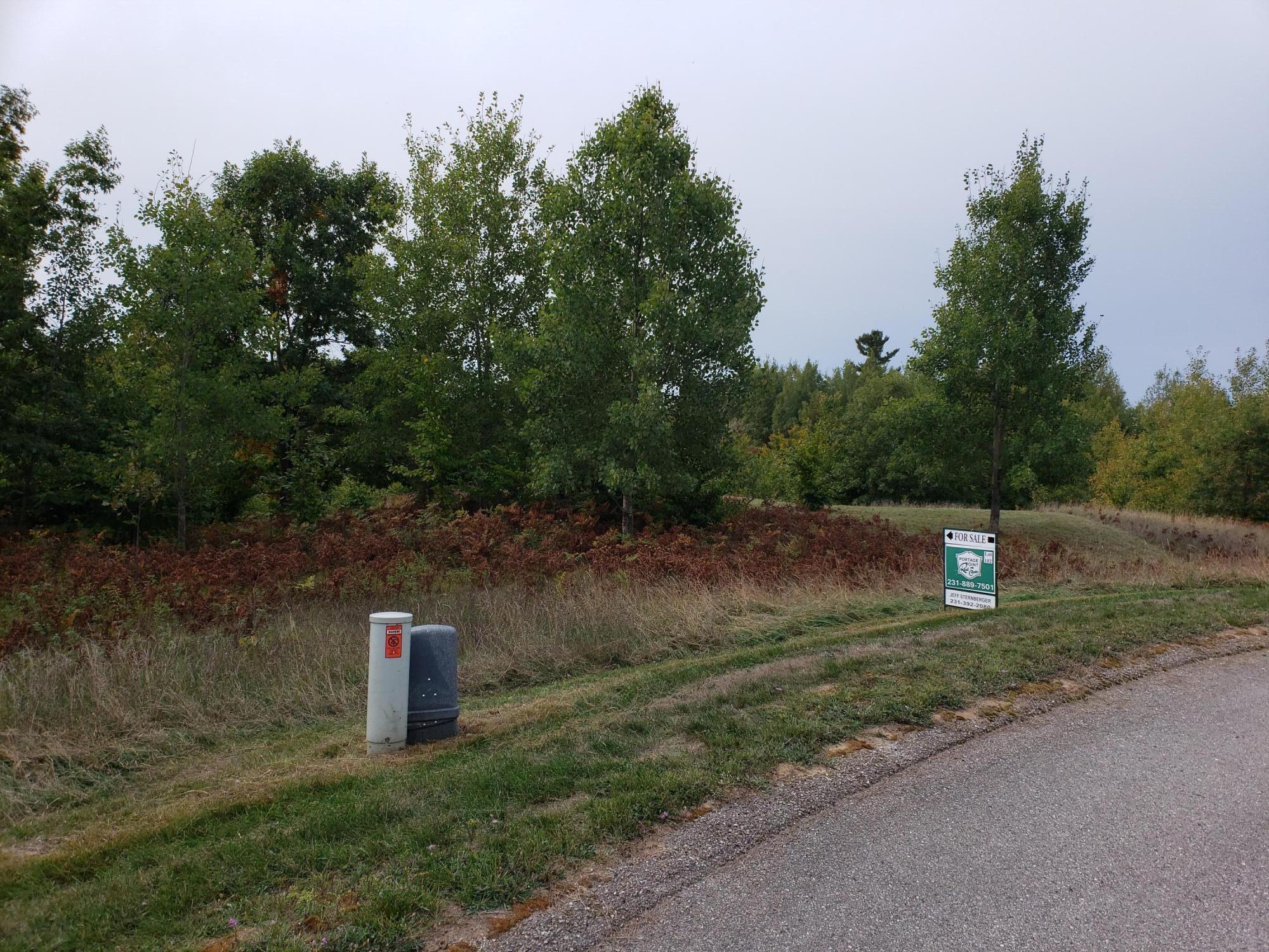 Eagle Ridge Circle Onekama, MI 49675 - Photo 6 of 27 Utilities at your lot