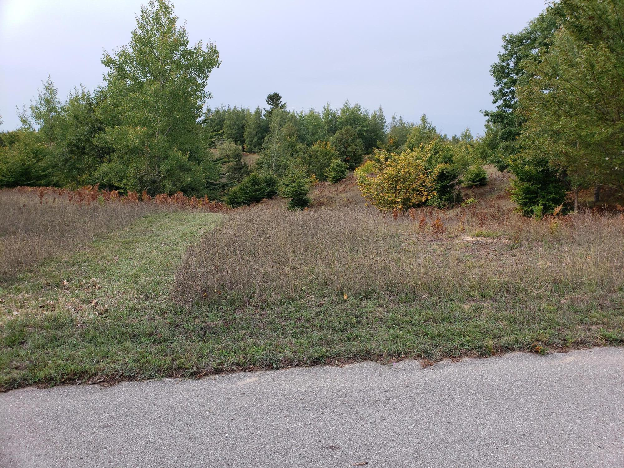 Eagle Ridge Circle Onekama, MI 49675 - Photo 7 of 27 Lot 2