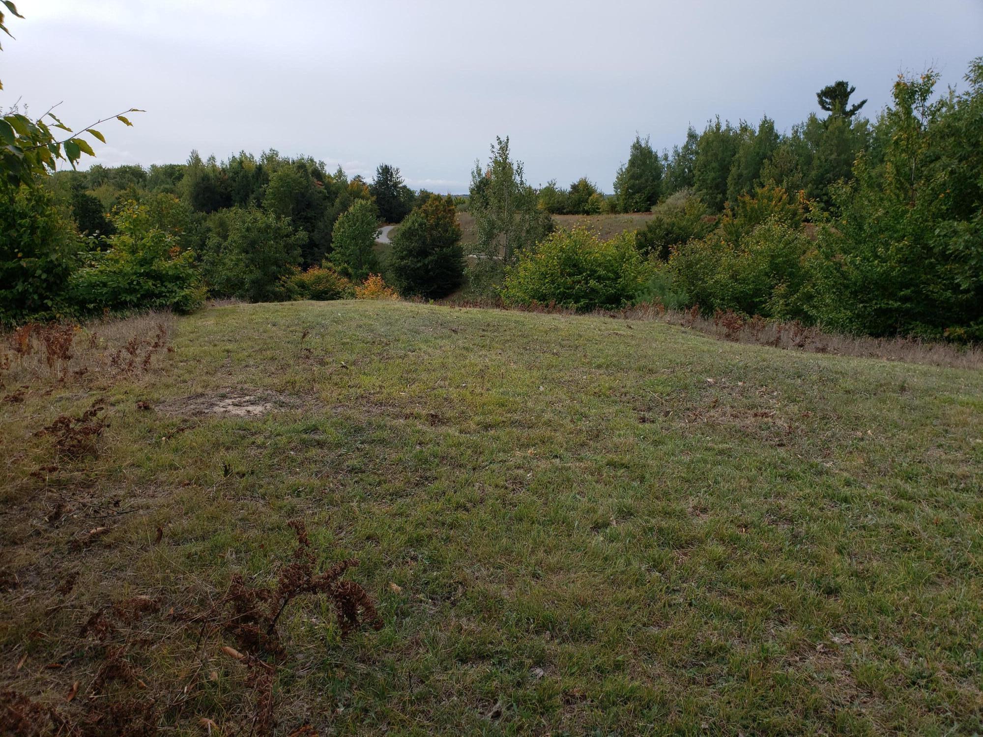 Eagle Ridge Circle Onekama, MI 49675 - Photo 8 of 27 Lot 2