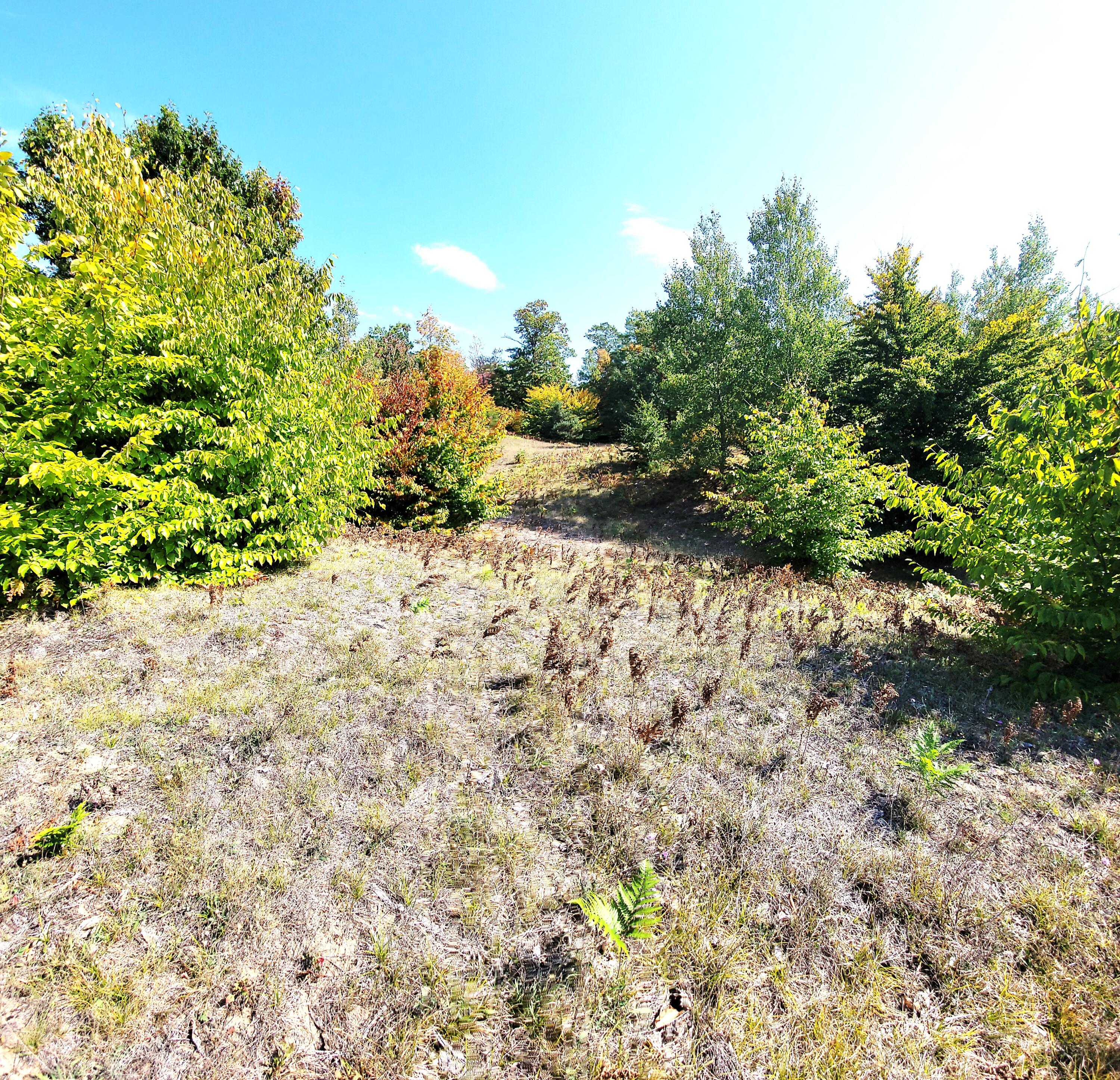 Eagle Ridge Circle Onekama, MI 49675 - Photo 10 of 27 View looking West