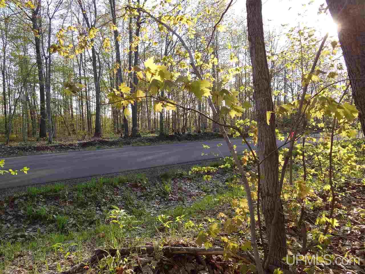 Tbd Off Coles Creek Road, Unit PARCEL 12 Hancock, MI 49931 - Photo 14 of 15